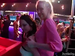 自由と正義の姉妹PT1 女性 鈴木 一徹